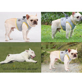 Adjustable Dog Harness