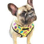 Breathable Dog Harness And Leash