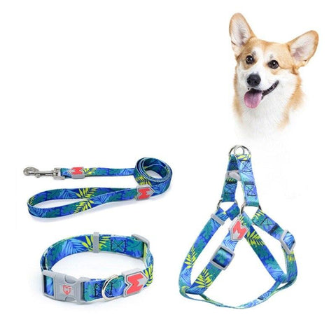 Adjustable Nylon Dog Collar Harness And Leash