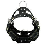 Strong Nylon Dog Harness