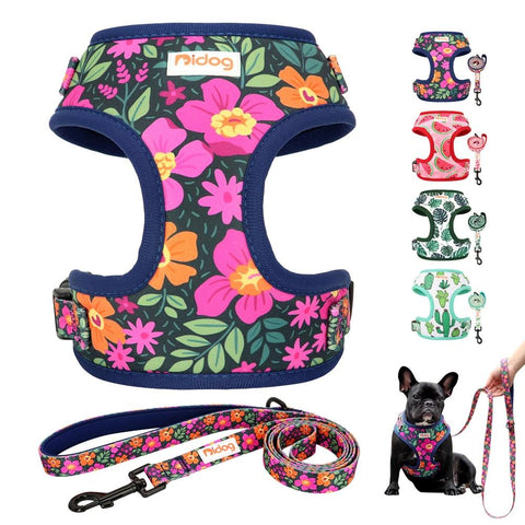 Flower Print Dog Harness With Leash