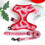 Flower Print Dog Harness With Leash