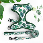 Flower Print Dog Harness With Leash