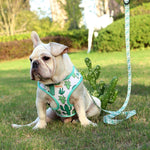 Flower Print Dog Harness With Leash