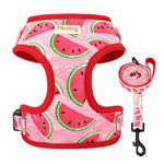 Flower Print Dog Harness With Leash