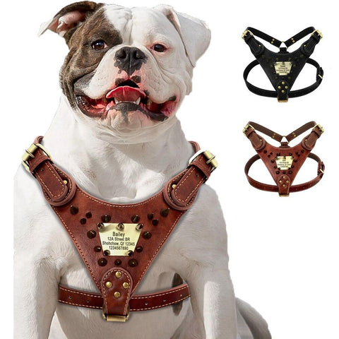 Durable Dog Harness