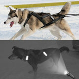 Waterproof Reflective Dog Sledding Harness