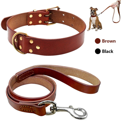 Durable Leather Dog Collar and Leash