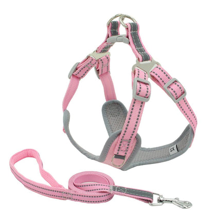 Small Dog Leash and Harness Reflective