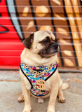 Dog Bundle: Attitude Collection: Graffiti Edition