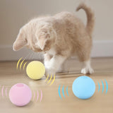 Smart Cat  Interactive Ball