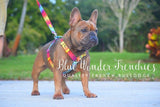 Frenchiestore Adjustable Pet Health Harness | California Dreamin'