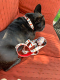 Drive-In Diner Adjustable Comfort Dog Collar