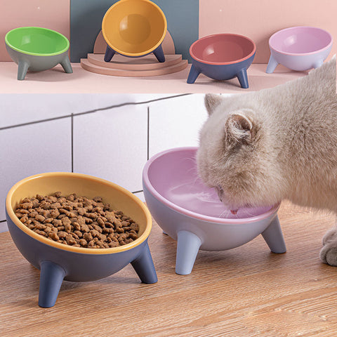Pet Feeding Food Bowl