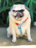 Frenchiestore Adjustable Pet Health Harness | California Dreamin'