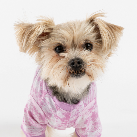 Pink Tie Dye Dog Pajamas