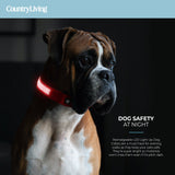 LED Dog Collar - Red