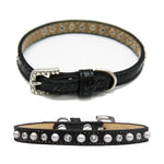 Pearl & Jewel Puppy Ice Cream Dog Collar Black