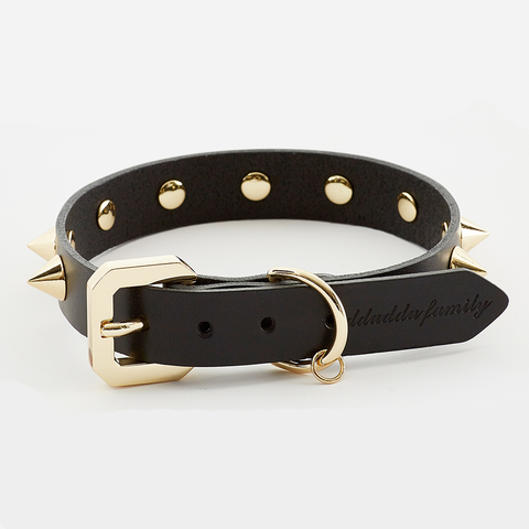 Golden Spike Black Dog Collar