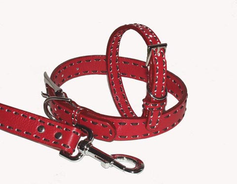 Leather Dog Collar- Red