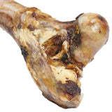 Giant Dog Bone - Grass Fed Beef Femur Bone for Large Dogs