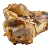 Giant Dog Bone - Grass Fed Beef Femur Bone for Large Dogs