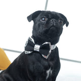 Suede and Silver Dog Collar & Bow Tie Set