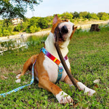 Frenchiestore Adjustable Pet Health Harness | California Dreamin'