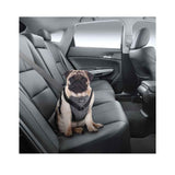 M Dog Harness 2in1 Car Walk Combo Travel No Pull Leash Seat Belt Ride Restraint