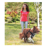 M Dog Harness 2in1 Car Walk Combo Travel No Pull Leash Seat Belt Ride Restraint